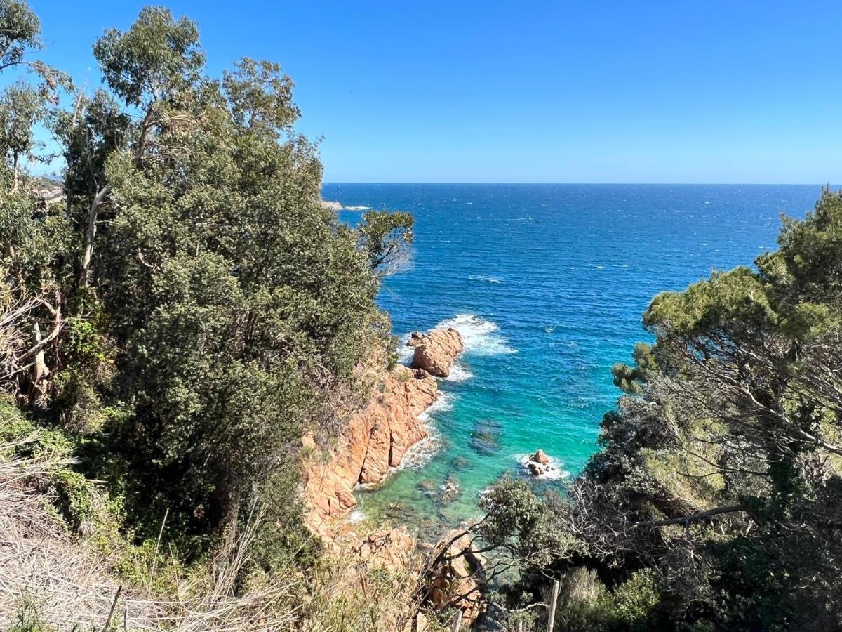Family B&B Homefromhomees Sant Feliu de Guíxols Luaran gambar